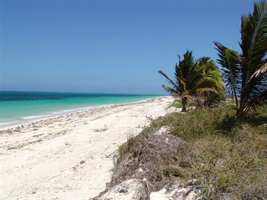 Die Strände auf Cayo Coco,_DSC01615_B720